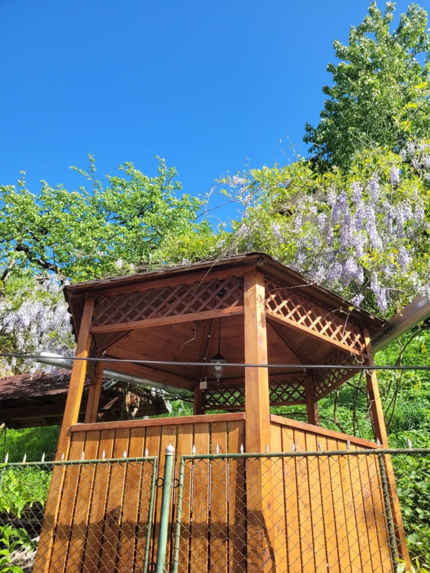 Casa Kiss Βίλα Sovata Εξωτερικό φωτογραφία